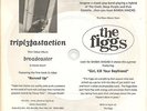 TRIPLEFASTACTION & THE FIGGS Clear PROMO FLEXI 7 INCH Vinyl Triple Fast Action