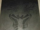 Deerhunter Debut Album Vinyl Record 
