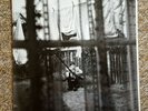 PAUL McCARTNEY 'CHAOS AND CREATION IN THE BACKYARD' UNPLAYED GATEFOLD VINYL LP