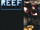 REEF - GLOW   VINYL LP NEW