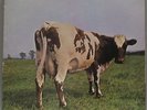 Pink Floyd - Atom Heart Mother *LP*VINYL*FOC*EMI 1C 072-04 550