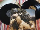 VINYL LP- INTERPOL / OUR LOVE TO ADMIRE