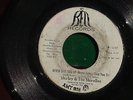 SHIRLEY & THE SHIRELLES   NEVER GIVE YOU UP Northern Soul Promo 45   HEAR IT
