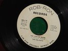 THE HOLIDAYS - THE LOVE WE SHARE / THIS IS LOVE - DETROIT SOUL 45 Rob-Ron *HEAR
