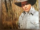 Garth Brooks /Vinyl