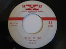 RARE ( ROCKABILLY BOPPER 45 )  TERRY FELL  I'M HOT TO TROT - X - EX (STOCK COPY)
