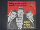 7-Single-60er-JIMMY GILMER AND THE FIREBALLS-Daisy Petal Pickin'