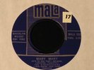 The Birdwatchers-Mary Mary-RARE 1967 Miami Garage/Mod/Psych 45-CLEAN