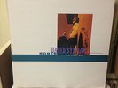 David Sylvian & Robert Fripp:  The First Day double record (King Crimson, Japan)