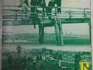 THE RISING STORM Calm Before LP ORIGINAL REMNANT Rarest PRIVATE PRESS GARAGE LP