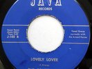 THE CONTENDERS 45 Lovely Lover / Surprise NEAR MINT Doo Wop ORIGINAL Java e5344