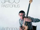 Jaco Pastorius Anthology The Warner Bros Years 12 Inch Vinyl LP Record 2015 New