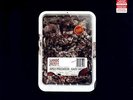 NAPALM DEATH - APEX PREDATOR LP Carcass/Nasum/Bolt Thrower/Converge/Obituary/ENT