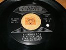 STAN ROBINSON - RHINOCEROS - CAN SHE GIVE YOU FEVER  -  LISTEN - POPCORN