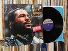 MARVIN GAYE 
