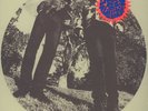Ty Segall & White Fence - Hair (Vinyl LP - 2012 - US - Original)