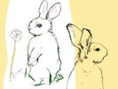 Beat Happening - Look Around (2LP)