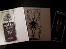 Fall of Efrafa - The Warren of Snares Trilogie