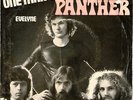Panther  -One Man Band - Killer GLAM  The 3rd Pantherman single 1975 Hear