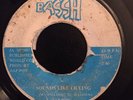 Zap Pow - Sounds Like Crying / Zap I Pow - Bassh 7