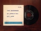 THE SHININGS - Un angelo blu 7