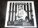 David Bowie LP Recorded Live On Stage In Norway 05.06.1978 Oslo MINT