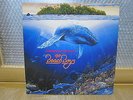 THE BEACH BOYS - Summer In Paradise Vinyl LP 1993 INSERT