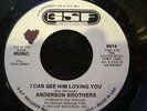 ANDERSON BROTHERS - I Can See Him Loving You