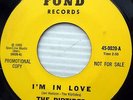 the RIPTIDES I'm in Love Hey little girl 1965 GARAGE Surf rock 45 on FOND w6233