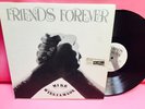 Lp Record Vinyl Mike Williamson Friends Forever Rare Modern Soul Private Nm Ex