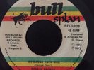 Reggae George - We Wanna Know Who / Dub - Bull Splan 7