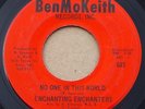ENCHANTING ENCHANTERS: NO ONE IN THIS WORLD - ORIG PRESS SOUL FUNK BenMoKeith 45