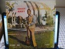 HORACE ANDY/SKYLARKING/JA STUDIO ONE RE LP