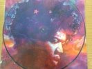Jimi Hendrix In From The Storm ( Picture LP)