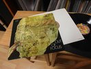 OUT OF FOCUS SAME LP IN 1971 MINT KRAUTROCK  PROMO