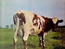 Pink Floyd Atom Heart Mother UK FIRST A1G B1G Harvest Vinyl LP