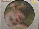 DAVID BOWIE Hunky Dory LIMITED EDITION PICTURE DISC LP *SEALED* RCA BOPIC 2