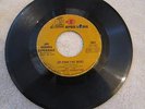 Jimi Hendrix Reprise 45 RPM #0665 VG One Rainy Wish / Up From The Skies