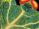 CATAPILLA - Changes - LP 1972 Akarma