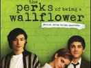 PERKS OF BEING A WALLFLOWER / SOUNDTRACK NEW VINYL