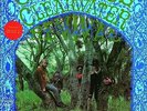 Creedence Clearwater Revival - Creedence Clearwater Revival