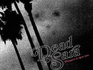 Dead Sara - Pleasure To Meet You