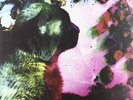 PALE SAINTS-COMFORTS OF MADNESS  (US IMPORT)  VINYL LP NEW