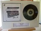 Guns 'N' Roses 'November Rain' Mounted Original 7