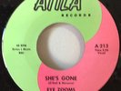 Eye Zooms 1965 She's Gone Atila 213 Rare Promo Ohio Garage Psych Private NM NOS