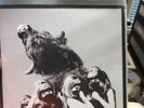 DEAD WEATHER I cut like a buffalo 8