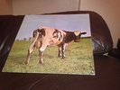 PINK FLOYD ATOM HEART MOTHER GATEFOLD 12