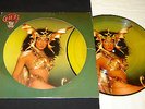 CHER Take Me Home 1979 CASABLANCA NBPIX-7133 Picture Disc LP NM/EX Pop DISCO