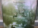 FRESH MAGGOTS Hatched RE OF  FOLK FUZZ MONSTER psych 2LP BONUS TRACKS