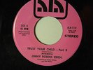 Jimmy Robins inst. 45 TRUST YOUR CHILD / Patrizia+Jimmy voc. VG+ minor dish-dnap